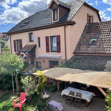Gte Le Muguet Daire Soultz-Haut-Rhin Dış mekan fotoğraf